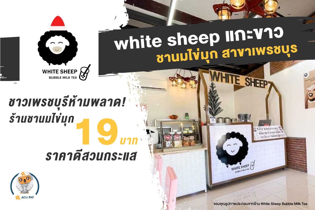 ร้าน White sheep แกะขาว