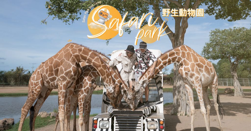 Safari Park and Camp 野生動物園